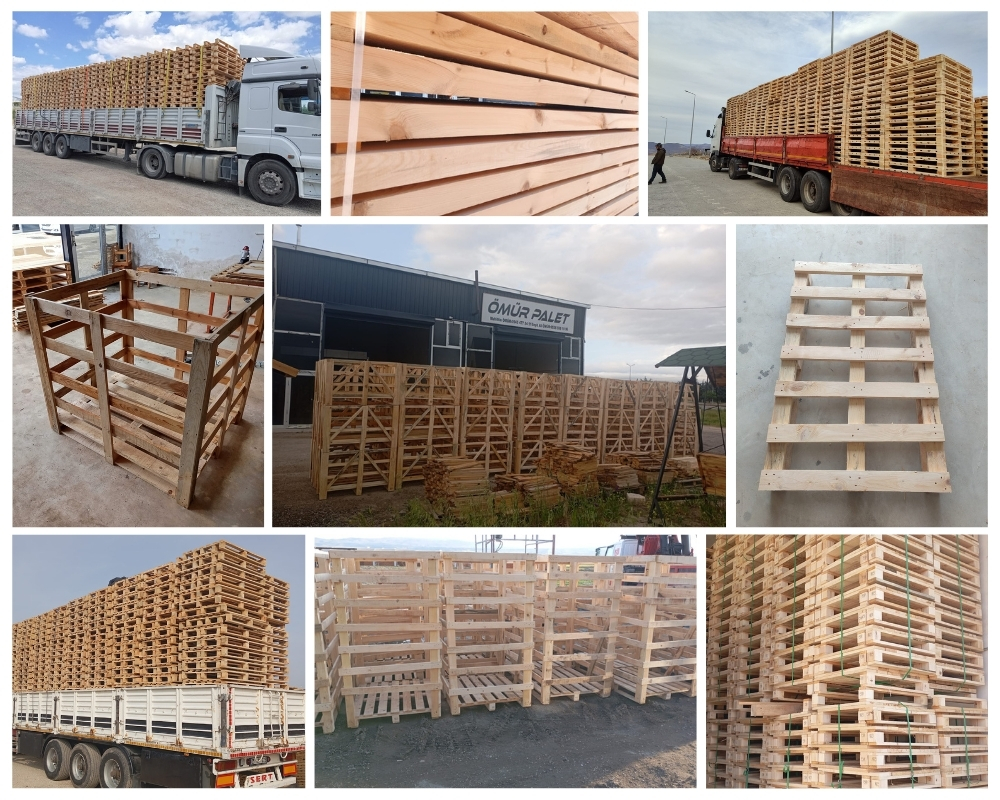 Driehuis Houten Kisten, Europallets Groothandel Kopen